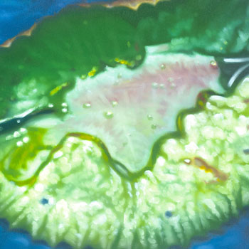 Tiger Koi - detail #3