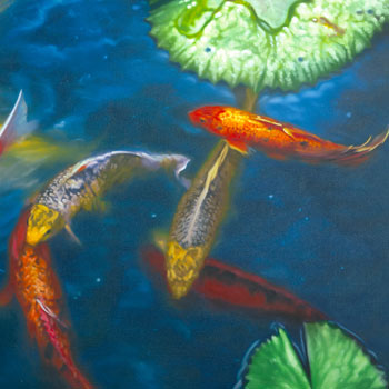 Tiger Koi - detail #2