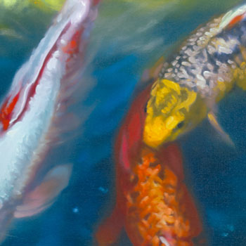 Tiger Koi - Image 2