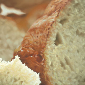 Sambiase - detail #3