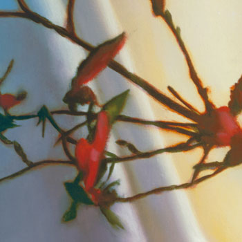 Last Still Life - detail #2