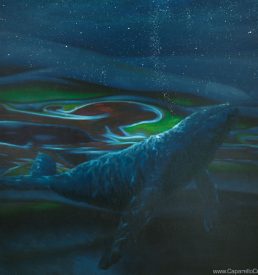 Whale Song